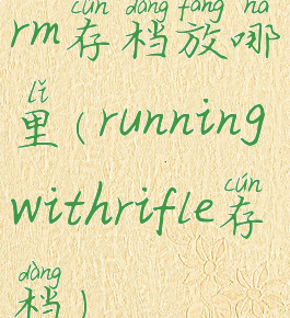 rm存档放哪里(runningwithrifle存档)