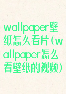 wallpaper壁纸怎么看片(wallpaper怎么看壁纸的视频)