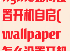 wallpaperengine如何设置开机自启(wallpaper怎么设置开机自动启动)