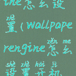 wallpaperengine怎么设置(wallpaperengine怎么设置开机就有)