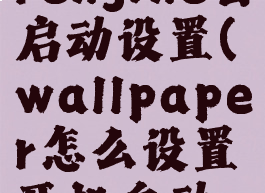 wallpaperengine自启动设置(wallpaper怎么设置开机自动启动)