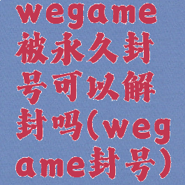 wegame被永久封号可以解封吗(wegame封号)