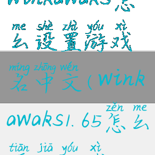 winkawaks怎么设置游戏名中文(winkawaks1.65怎么添加游戏)