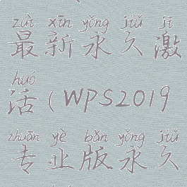 wps专业版最新永久激活(wps2019专业版永久激活)