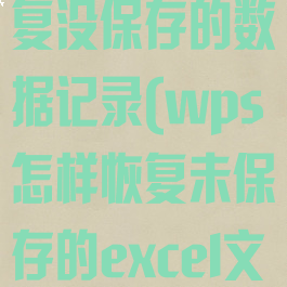 wps怎么恢复没保存的数据记录(wps怎样恢复未保存的excel文件)