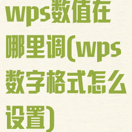 wps数值在哪里调(wps数字格式怎么设置)