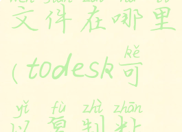 todesk传输文件在哪里(todesk可以复制粘贴吗)