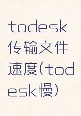 todesk传输文件速度(todesk慢)