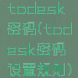 todesk密码(todesk密码设置规则)