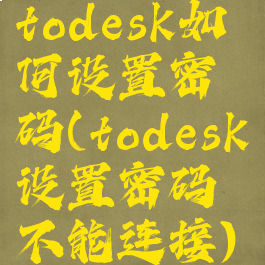 todesk如何设置密码(todesk设置密码不能连接)