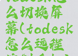 todesk怎么切换屏幕(todesk怎么远程控制手机)