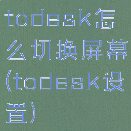 todesk怎么切换屏幕(todesk设置)