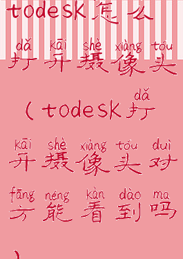 todesk怎么打开摄像头(todesk打开摄像头对方能看到吗)