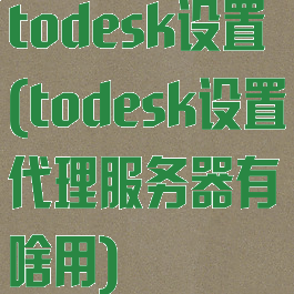 todesk设置(todesk设置代理服务器有啥用)