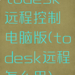 todesk远程控制电脑版(todesk远程怎么用)