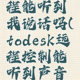 todesk远程能听到我说话吗(todesk远程控制能听到声音吗)