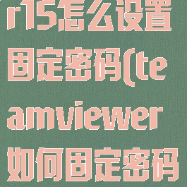 teamviewer15怎么设置固定密码(teamviewer如何固定密码)