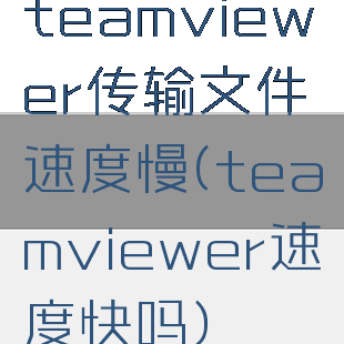 teamviewer传输文件速度慢(teamviewer速度快吗)