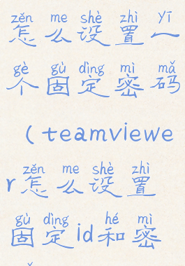 teamviewer怎么设置一个固定密码(teamviewer怎么设置固定id和密码)