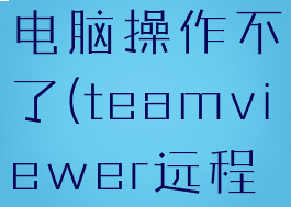 teamviewer远程控制电脑操作不了(teamviewer远程开机没反应)