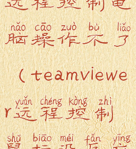 teamviewer远程控制电脑操作不了(teamviewer远程控制鼠标没反应)