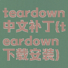 teardown中文补丁(teardown下载安装)