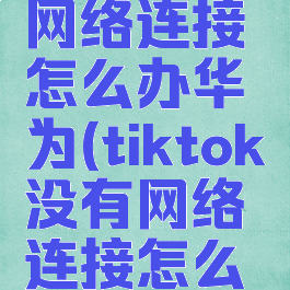 tiktok无网络连接怎么办华为(tiktok没有网络连接怎么办)