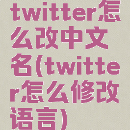 twitter怎么改中文名(twitter怎么修改语言)