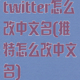 twitter怎么改中文名(推特怎么改中文名)