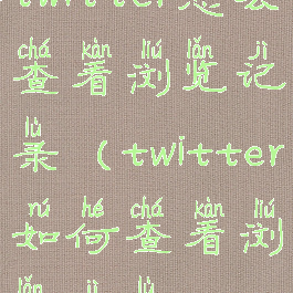 twitter怎么查看浏览记录(twitter如何查看浏览记录)