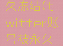 twitter账号被永久冻结(twitter账号被永久冻结怎么恢复知乎)