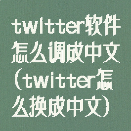 twitter软件怎么调成中文(twitter怎么换成中文)