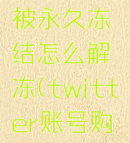 twitter被永久冻结怎么解冻(twitter账号购买2元)