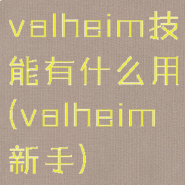 valheim技能有什么用(valheim新手)