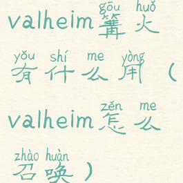 valheim篝火有什么用(valheim怎么召唤)