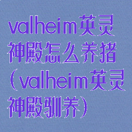 valheim英灵神殿怎么养猪(valheim英灵神殿驯养)