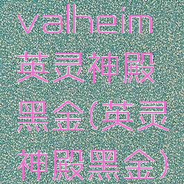 valheim英灵神殿黑金(英灵神殿黑金)