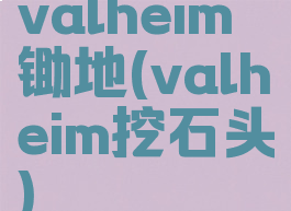 valheim锄地(valheim挖石头)