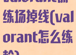 valorant训练场掉线(valorant怎么练枪)