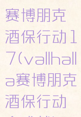 vallhalla赛博朋克酒保行动17(vallhalla赛博朋克酒保行动全成就)