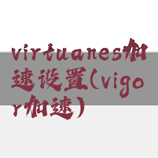 virtuanes加速设置(vigor加速)