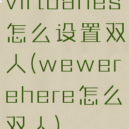 virtuanes怎么设置双人(wewerehere怎么双人)