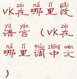 vk在哪里改语言(vk在哪里调中文)