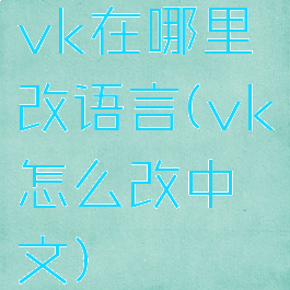 vk在哪里改语言(vk怎么改中文)