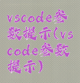 vscode参数提示(vscode参数提示)