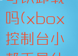 xbox控制台小帮手可以卸载吗(xbox控制台小帮手是什么可不可以卸掉)