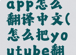 youtubeapp怎么翻译中文(怎么把youtube翻译成中文)