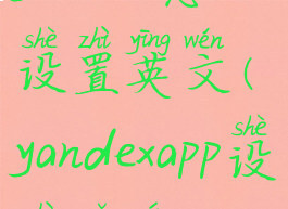 yandex怎么设置英文(yandexapp设置语言)