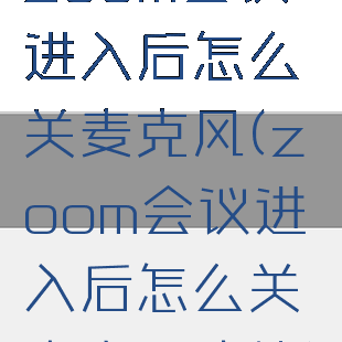 zoom会议进入后怎么关麦克风(zoom会议进入后怎么关麦克风功能)